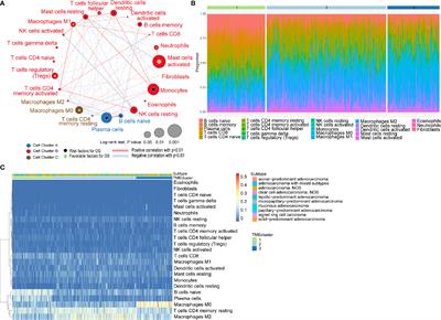 Characterization of Tumor Microenvironment in Lung Adenocarcinoma Identifies Immune Signatures to Predict Clinical Outcomes and Therapeutic Responses